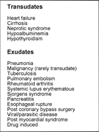 Meaning of loculated pleural effusion medical term. Clinical Aspects Of Pleural Fluid Ph