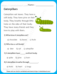 Making a good grammar practice is important for english education. Reading Comprehension For Grade 2 Your Home Teacher