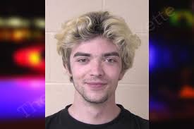 Micheal Steele — Walker County Jail Bookings