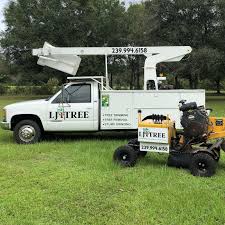 Daytona beach $254 · destin/ft walton beach $199 · fort lauderdale $207 · fort myers $232 · jacksonville, florida $508 · melbourne, florida $295 · miami, florida $239 . Lj Tree Llc Home Facebook