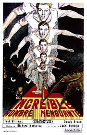 The hulk broke into pym's lab and consumed one of his shrinking formulas. The Incredible Shrinking Man The Incredibles Movie Posters Vintage Horror Posters