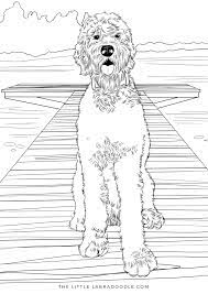 Dog breed silhouette clip art. Pin On Coloring Pages