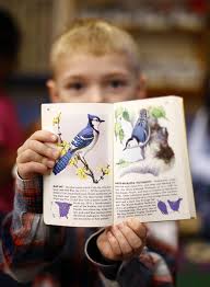 Weymouth students dive into STEM