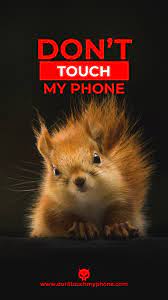On this page you will find the animal. Wallpaper Don T Touch My Phone Cute Animals Dont Touch My Phone