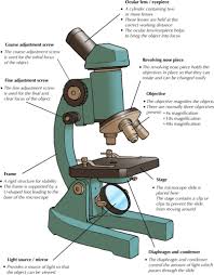 Maybe you would like to learn more about one of these? Parts Of A Microscope Drawing Grade Gr 9 Natural Science Full Size Png Download Seekpng