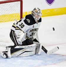 Brandon Bussi