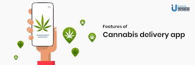 We offer free xpress post shipping across canada on all orders over $100. Cannabis Mobile App Development Guide Idea Usher