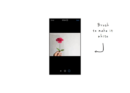 Easily frame your photos inside a clean white background. The Easiest Way To Make A White Background For Instagram Photos