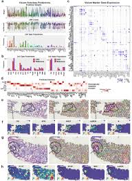 Floss coverage from left to right: An Atlas Of Healthy And Injured Cell States And Niches In The Human Kidney Biorxiv