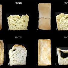 When it comes to oral health, your teeth shouldn't be your only focus. Pdf Influence Of Tara Gum And Xanthan Gum On Rheological And Textural Properties Of Starch Based Gluten Free Dough And Bread