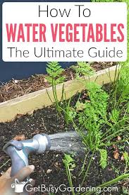 There may be weeks or even months when the perfect amount of rain falls. How To Water A Vegetable Garden The Right Way Get Busy Gardening