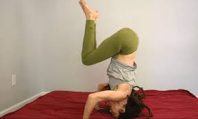 We would like to show you a description here but the site won't allow us. Adult Gymnastics At Home Innate Moves