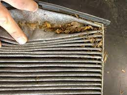 Thankfully your cabin air filter doesn't affect your engine's performance. Does My Car Really Need This Service Cabin Air Filter Humble Mechanic