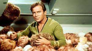 Maybe you would like to learn more about one of these? 9 William Shatner Facts You Didn T Know Jack 96 9