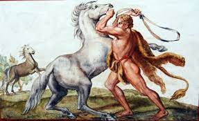 529 likes · 98 talking about this. Herakles Zahmt Die Menschenfressenden Rosse Des Diomedes Bilder Tibs At