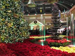 But, when it comes to winter. 5 Reasons To Visit Las Vegas For The Holidays