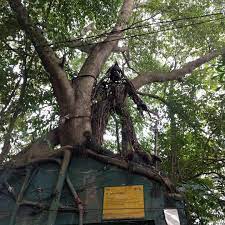 Rumours surfaced online that a group of 23 children went missing at villa nabila. 16 Of The Most Haunted Places In The World Hostelworld