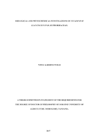 Image result for Synadenium pereskiifolium