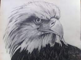 Unlock more of your creativity with the krita custom grass brush. Eagle Animal Texture Grid Enlargement Eagle Animals Animal Drawings Medium Art