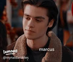 Exploring the Bond of Ginny and Marcus