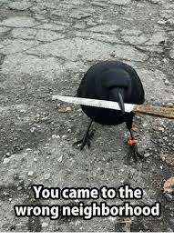 You Came To The Wrong Neighborhood Meme On Me Me