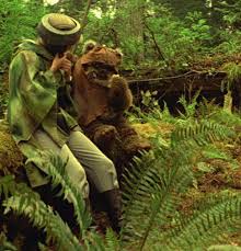 Retro Star Wars Ewoks Star Wars Star Wars Pictures Star Wars Gifts
