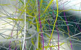 I actually got it to run in the simulator. Using Intels Xeon Phi For Brain Research Visualization Top500