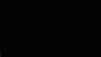 Hochzeitskleid — hochzeitskleid, die an manchen tieren. Brautkleid Gifs Get The Best Gif On Giphy