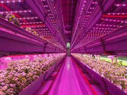 Comment on best led grow lights reviews for cannabis 2020 by michael. How Leds Are Making Weed Better Wired
