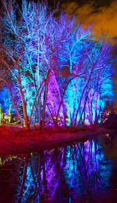 The Wetlands Light Up With Holiday Cheer Ahudsonchristmas Outdoor Christmas Decorations Lights Blue Christmas Lights Christmas Lights