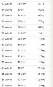 baby weight chart in pregnancy in grams thelifeisdream