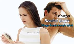 Masalah rambut gugur biasanya dilalui oleh semua golongan wanita mahupun lelaki. Kenapa Rambut Gugur Hingga Kepala Hampir Botak Ohcantik Com