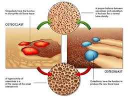 Keep in mind that some vitamins and supplements may. Boost Your Bone Health With Calcium And Vitamin D Supplements Calcium And Vitamin D Play An Important Role In Building And Maintain Health Strong Bones