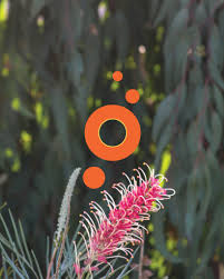 Kick off the new year with our...