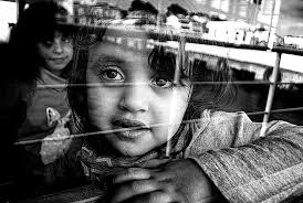 Feature photos of the week in Nature Captured Naturally