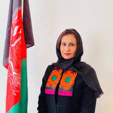 She was the former afghan ambassador to the nordic countries. Manizha Bakhtari Public Figure Facebook