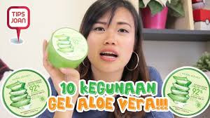 Perfect gel for diy sanitizer! 10 Kegunaan Gel Aloe Vera Tips Nihao Youtube