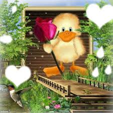 Montaje fotografico una flor para ti - Pixiz