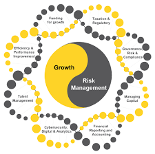 Ey India S Cfo Agenda Seeks To Provide Insights On The Role Of A Cfo Their Responsibilities As They Seek To Develop Themselves Managing Finances Finance Cfo