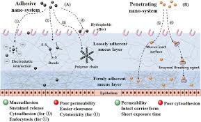 Check spelling or type a new query. Adapted Nano Carriers For Gastrointestinal Defense Components Surface Strategies And Challenges Sciencedirect