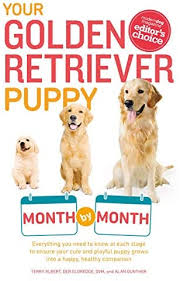 How a blind dog born in a puppy mill became a therapy dog bringing joy to people all over the world. Your Golden Retriever Puppy Month By Month Everything You Need To Know At Each Stage To Ensure Your Cute And Playful Puppy By Albert Terry Eldredge Debra Amazon Ae
