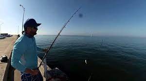 The large creature smelled beer in its river and decided to pop its head out of the water. How To Setup A Trolley Rig For Pier Fishing Catch More Youtube