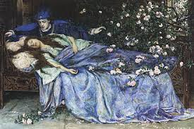 Je veux voir la belle au bois dormant. Probleme De La Belle Au Bois Dormant Wikipedia