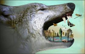 Ecosystem Animals Apex Predator Wolf Population
