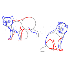 Start drawing a triangular colour the hair and nose with the sharpie. How To Draw Warrior Cats Step By Step Drawing Guide By Dawn Dragoart Com