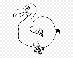 Collectible miniature blue dodo bird in a hat made by marina blakytna. Dodo Bird Black White Line Art 555px Dodo Bird Clip Art Free Transparent Png Clipart Images Download