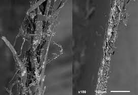 Maybe you would like to learn more about one of these? Ripped And Scissor Cut Paper Under The Scanning Electron Microscope Interestingasfuck
