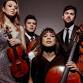 Newport Classical Music Festival: Attacca Quartet 🎵