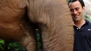 7 where can you buy black ivory coffee? Black Ivory Coffee The Elephant Story