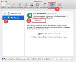 How To Add Or Remove The Url Advisor Browser Extension For Kaspersky Internet Security 16 For Mac
